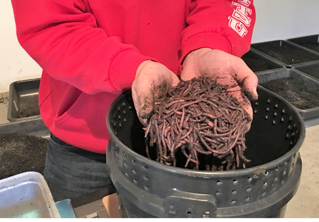 Oaktree Worm Farm & Soils worm castings